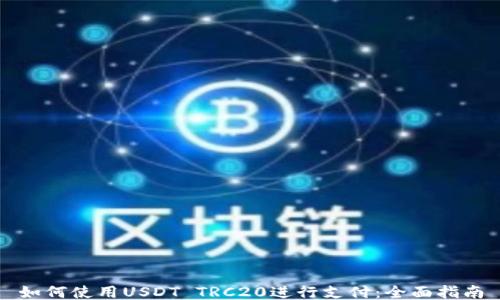 
如何使用USDT TRC20进行支付：全面指南