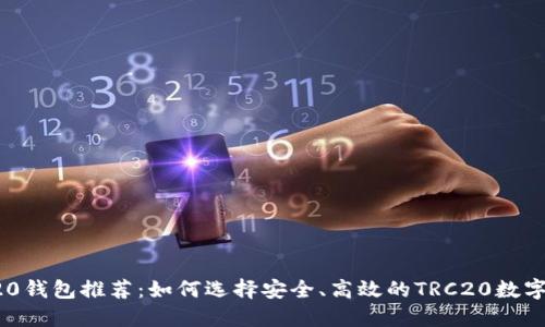 最全TRC20钱包推荐：如何选择安全、高效的TRC20数字货币钱包