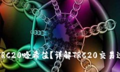 如何查看TRC20哈希值？详解