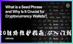 TRC20链路维护指南：从入门