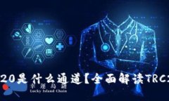 币圈里TRC20是什么通道？全