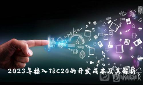 2023年接入TRC20的开发成本及其解析