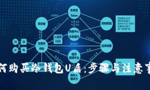 如何购买冷钱包U盾：步骤与注意事项