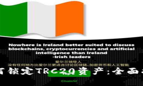 如何锁定TRC20资产：全面指南