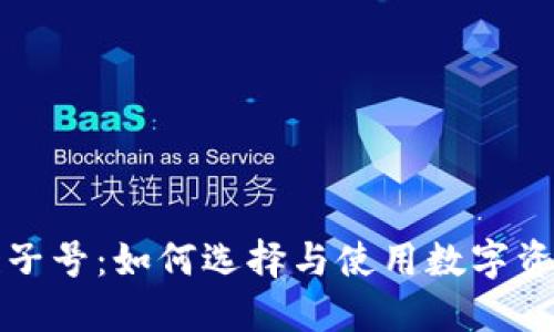 冷钱包豹子号：如何选择与使用数字资产冷钱包