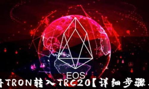 
如何将TRON转入TRC20？详细步骤与技巧