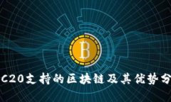 TRC20支持的区块链及其优势