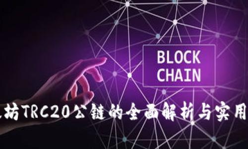 以太坊TRC20公链的全面解析与实用指南