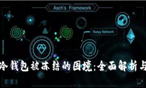 如何应对冷钱包被冻结的困境：全面解析与解决方案