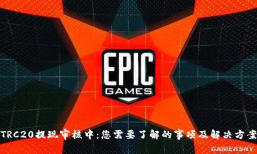 TRC20提现审核中：您需要了解的事项及解决方案