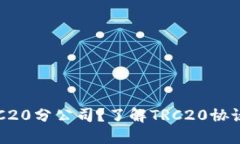 什么是TRC20分公司？了解