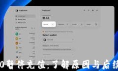 TRC20暂停充值：了解原因与