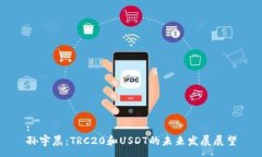 :  孙宇晨：TRC20和USDT的未