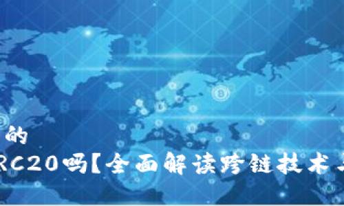 思考一个且的
“BSC支持TRC20吗?全面解读跨链技术与实用案例”
