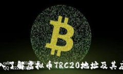   深入了解虚拟币TRC20地址