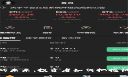 数字货币的未来：投资者如何把握机会与风险