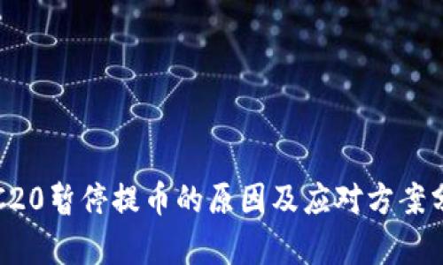 TRC20暂停提币的原因及应对方案分析