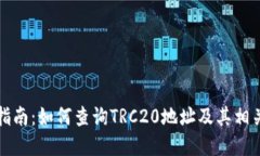完整指南：如何查询TRC2