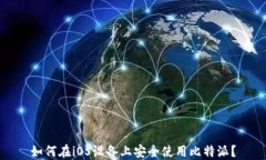 如何在iOS设备上安全使用