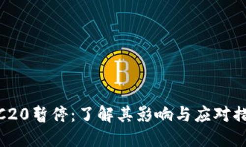 TRC20暂停：了解其影响与应对措施