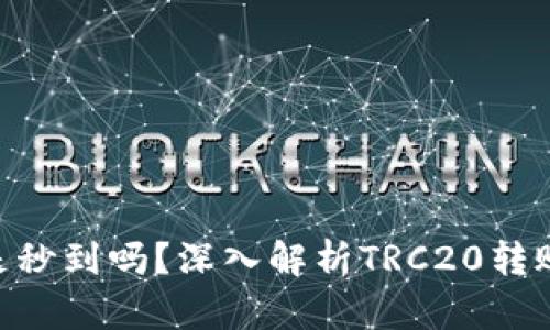 TRC20转账是秒到吗？深入解析TRC20转账速度与效率