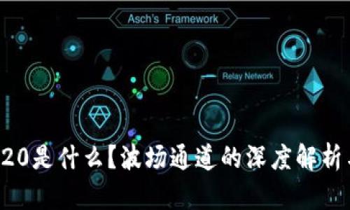 : TRC20是什么？波场通道的深度解析与应用