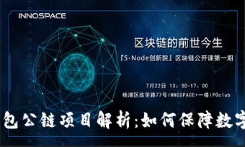 :
DSIM冷钱包公链项目解析：如何保障数字资产安全