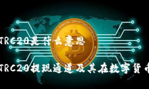 提现通道TRC20是什么意思

深入理解TRC20提现通道及其在数字货币中的应用