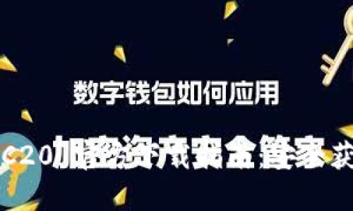 USDT-TRC20 官方下载指南：安全获取和使用