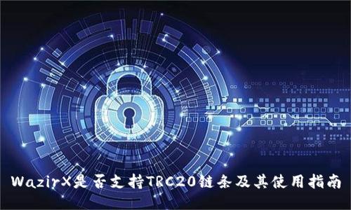 WazirX是否支持TRC20链条及其使用指南