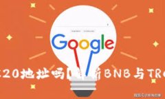 BNB是TRC20地址吗？解析BN