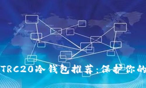 最安全的TRC20冷钱包推荐：保护你的数字资产