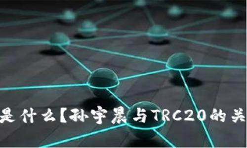 TRC20是什么？孙宇晨与TRC20的关系分析